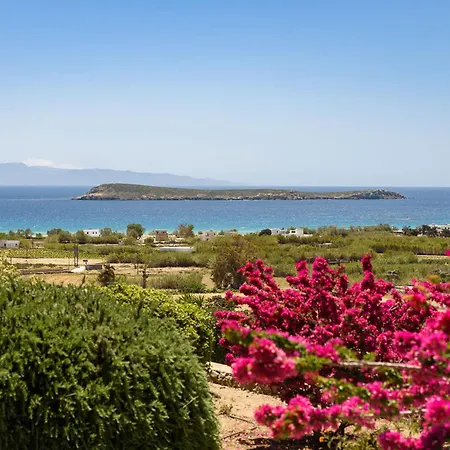 Thalatta Paros كريس أكتي