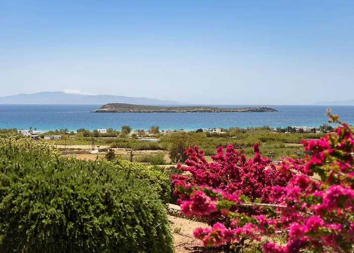 Thalatta Paros Chrisi Akti (Paros)