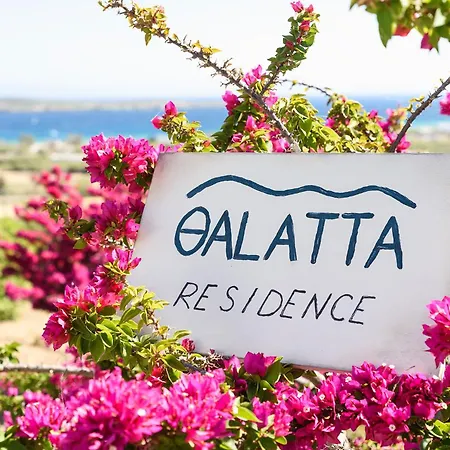 Thalatta Paros 别墅 *